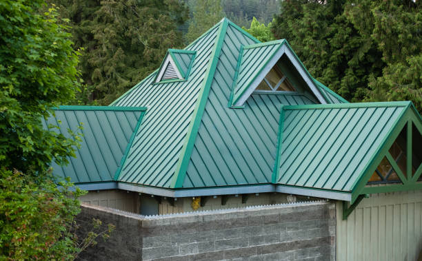 Best Roof Coating and Sealing  in Prophetstown, IL