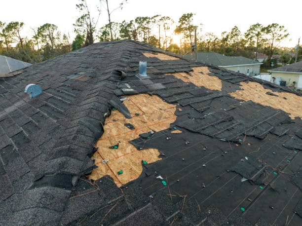 Best Roof Ventilation Installation  in Prophetstown, IL