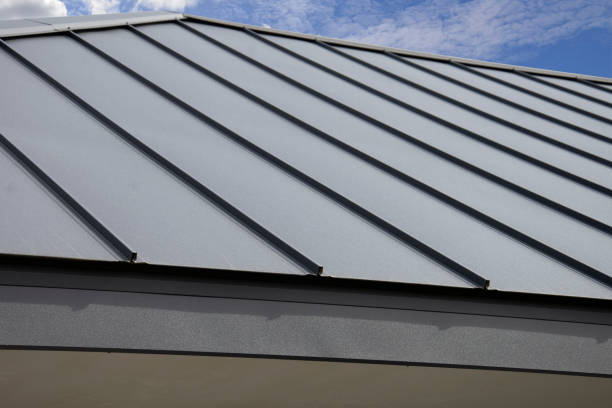 Best Steel Roofing  in Prophetstown, IL