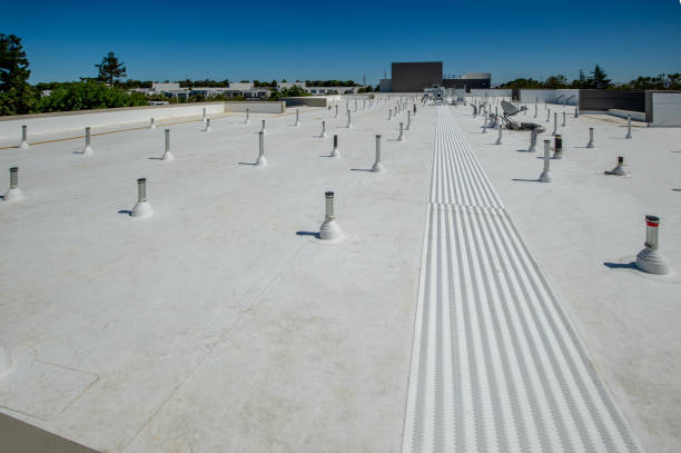 Best Commercial Roofing Services  in Prophetstown, IL